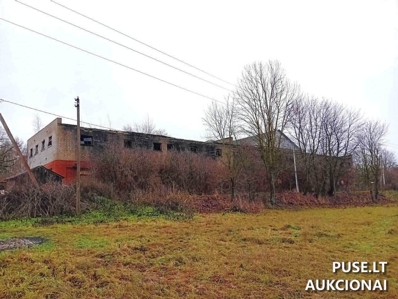 Žolių valymo punktas - sandėlis Pastatai Žemaičių g 6, 58344 Vainotiškiai, Lithuania 10
