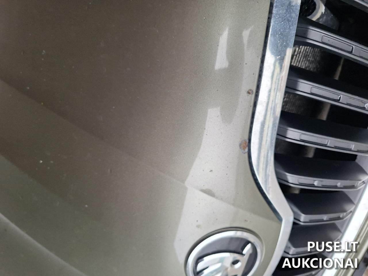 Škoda Yeti Lengvasis automobilis 4