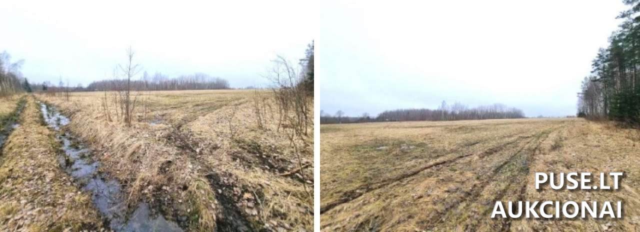 Žemės sklypas Sklypai Ruigių g., 96274 Klaipėdos r. sav., Lithuania 3