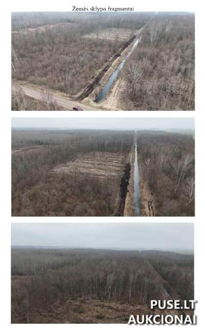 Žemės sklypo dalis Biržų r. Jagaudžių k. aukcionas nuo 22186 EUR