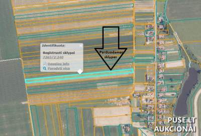 1/4 žemės ūkio paskirties sklypo dalis Raseinių r. sav., Dumšiškių k., pradinė kaina 600 EUR