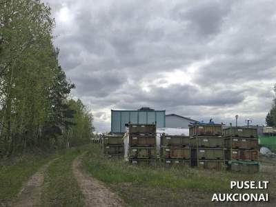 Žemės sklypas Elektrėnų savivaldybėje, Obenių kaime, 270000 EUR, parduodamas aukcione