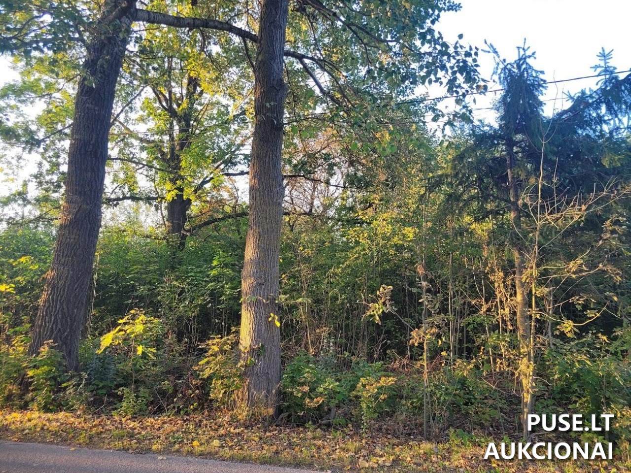 Žemės sklypas Sklypai Stačiūnų k., 39300 Stačiūnai, Lithuania 2