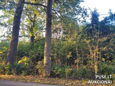 Žemės sklypas Pasvalio rajone, Stačiūnų kaime, parduodamas aukcione nuo 624 EUR