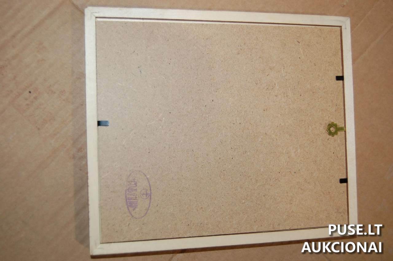 6 vnt. įvairių dydžių ikonų Kitas turtas 1