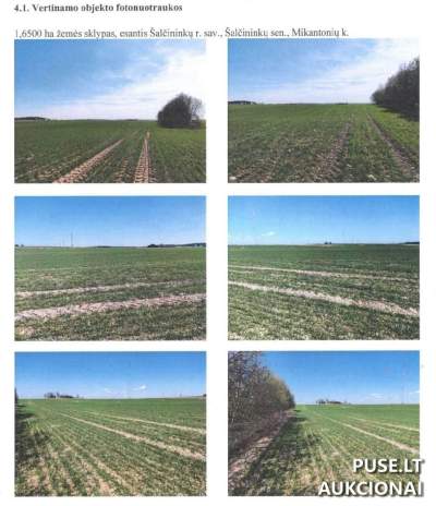 1/4 žemės ūkio sklypo dalis Šalčininkų rajone, Mikantonių kaime, pradinė kaina 960 EUR