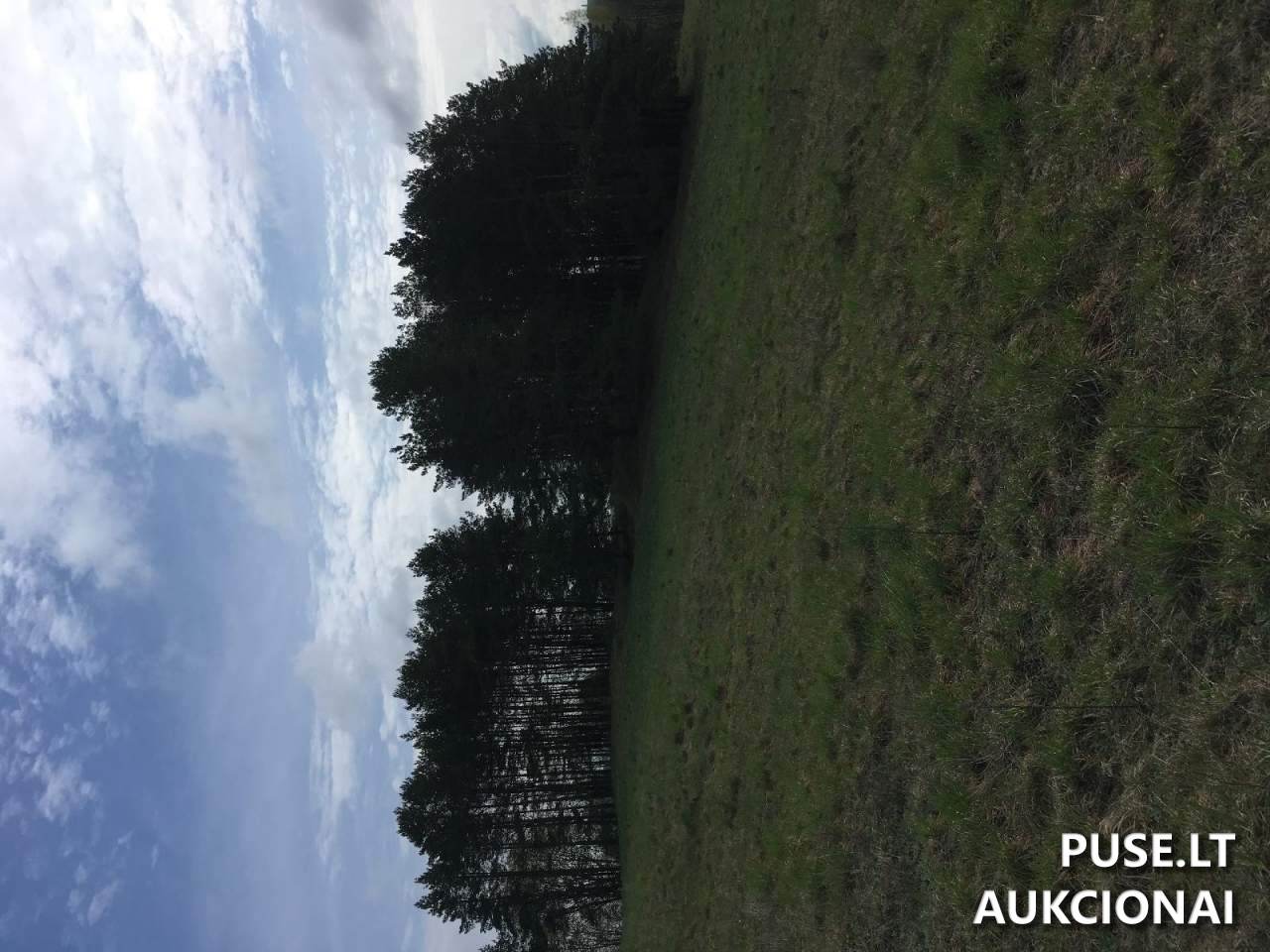 Žemės sklypas Sklypai Kaniūkai, Molėtų r. sav., Lithuania 2