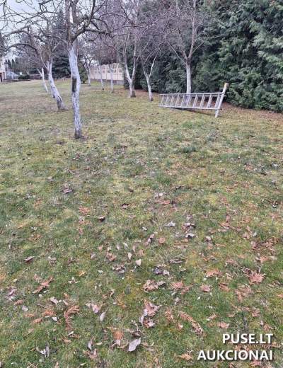 Valstybinis žemės sklypas Radviliškio mieste, Saulėtekio g. 30A, pradinė kaina 5790 EUR