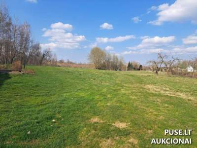 Žemės sklypas Ignalinos rajone, Kaniūkų k. su 3666 EUR pradine kaina, unikalus nr. 4400-6462-6564