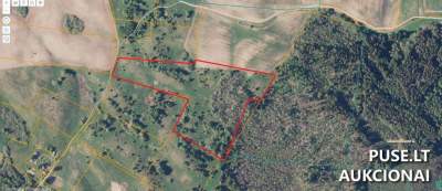 Žemės sklypas Elektrėnų savivaldybėje 3.85 ha su beržynu, pradinė kaina 6000 EUR