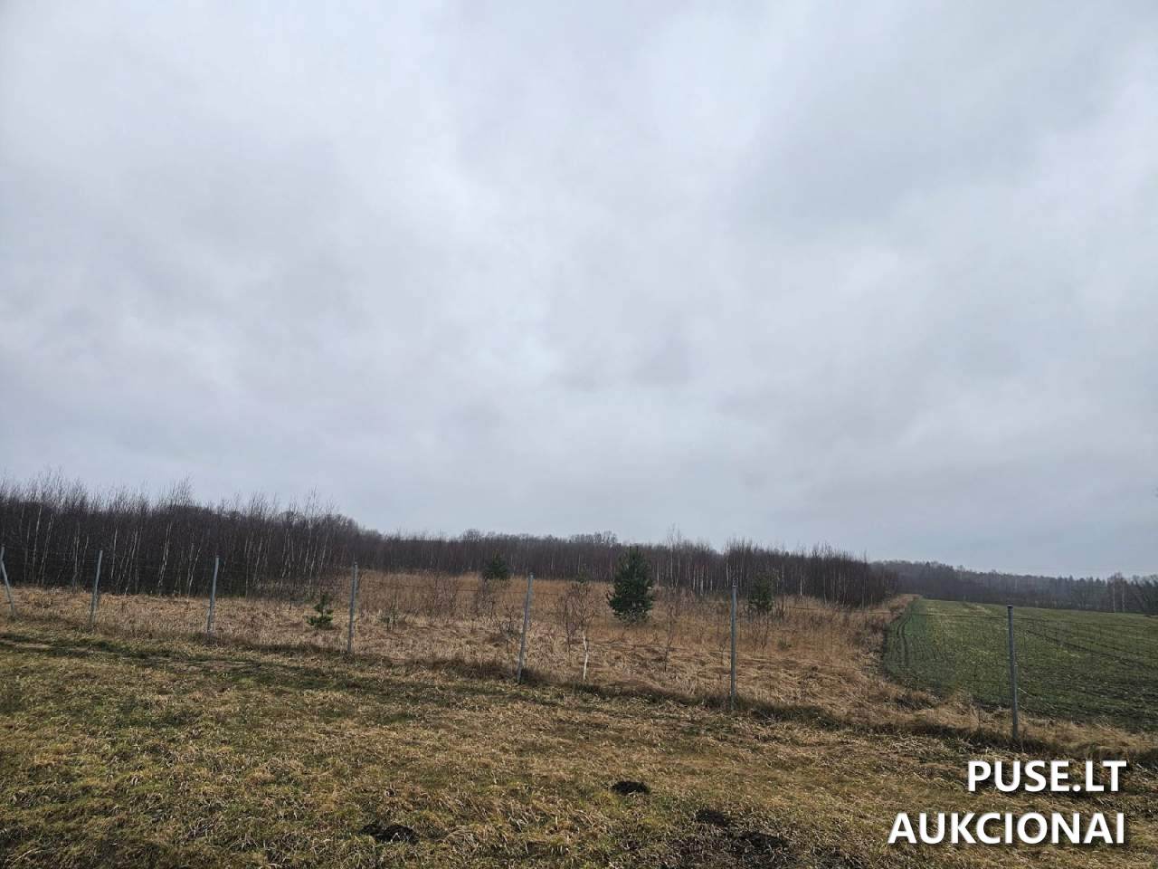 Žemės sklypas Sklypai Gegutė, 55466 Jonavos r. sav., Lithuania 5