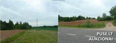 Žemės sklypas Lazdijų rajone, Šulnelių kaime, parduodamas aukcione nuo 5680 EUR