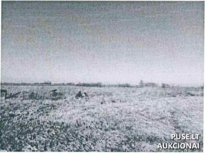 1/2 Žemės sklypo dalis Marijampolės savivaldybėje, Makrickų kaime, pradinė kaina 7200 EUR