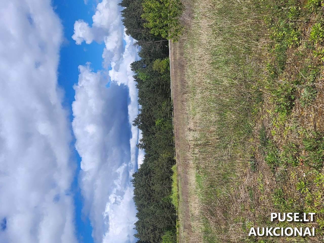 Nuomojamas turtas: Žemės sklypas Sklypai J. Basanavičiaus g. 58, 65206 Varėna, Lithuania 6