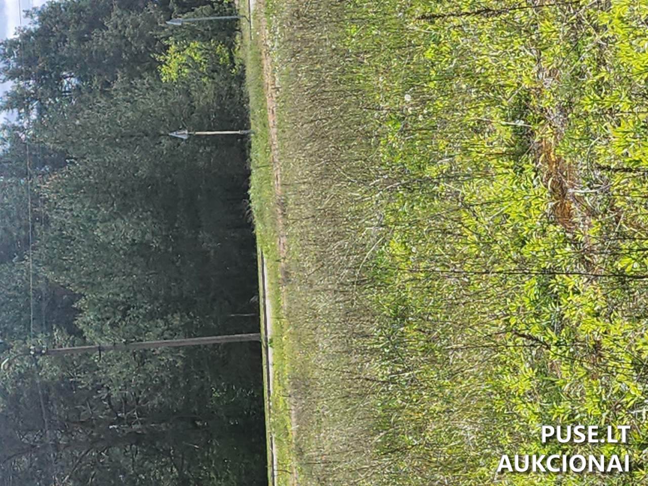 Nuomojamas turtas: Žemės sklypas Sklypai J. Basanavičiaus g. 58, 65206 Varėna, Lithuania 7