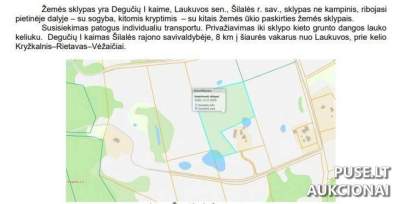 Parduodamas 1/4 žemės ūkio paskirties sklypo dalies Šilalės r. sav., Degučių I k. aukcione nuo 1200 EUR