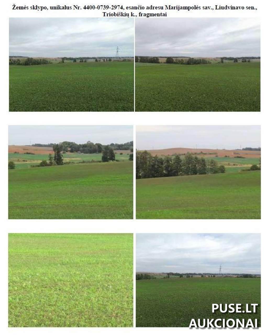 Žemės sklypas Sklypai Triobiškiai, 68116 Marijampolė Municipality, Lithuania 1