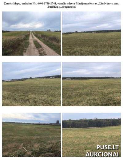 Žemės ūkio paskirties 0.5 ha sklypas Marijampolės rajone aukcione nuo 1140 EUR