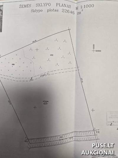 Žemės ūkio paskirties sklypas Anykščių rajone, Buivydų kaime 6840 EUR pradinė kaina