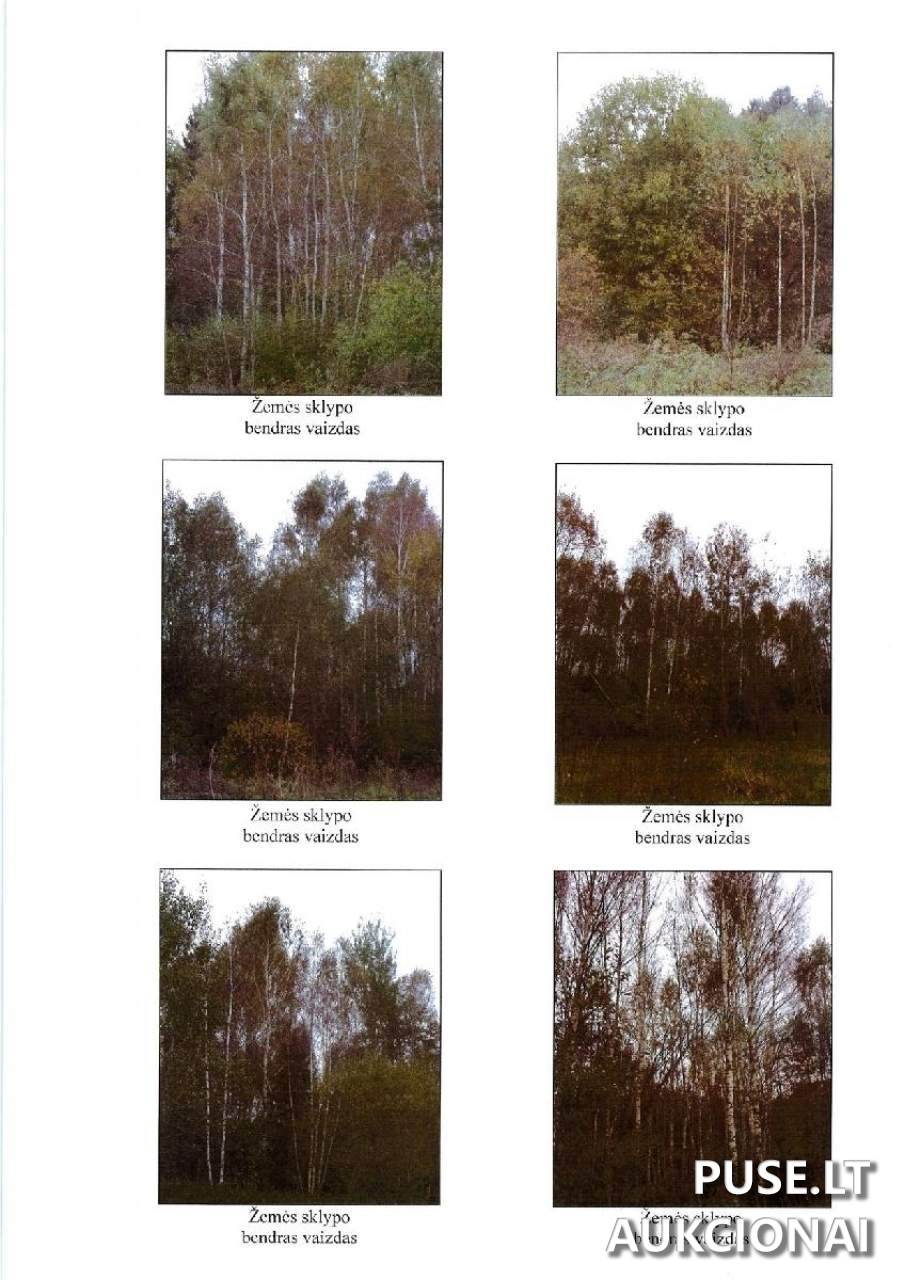 Žemės sklypas Sklypai Šalčininkai District Municipality, Lithuania 3