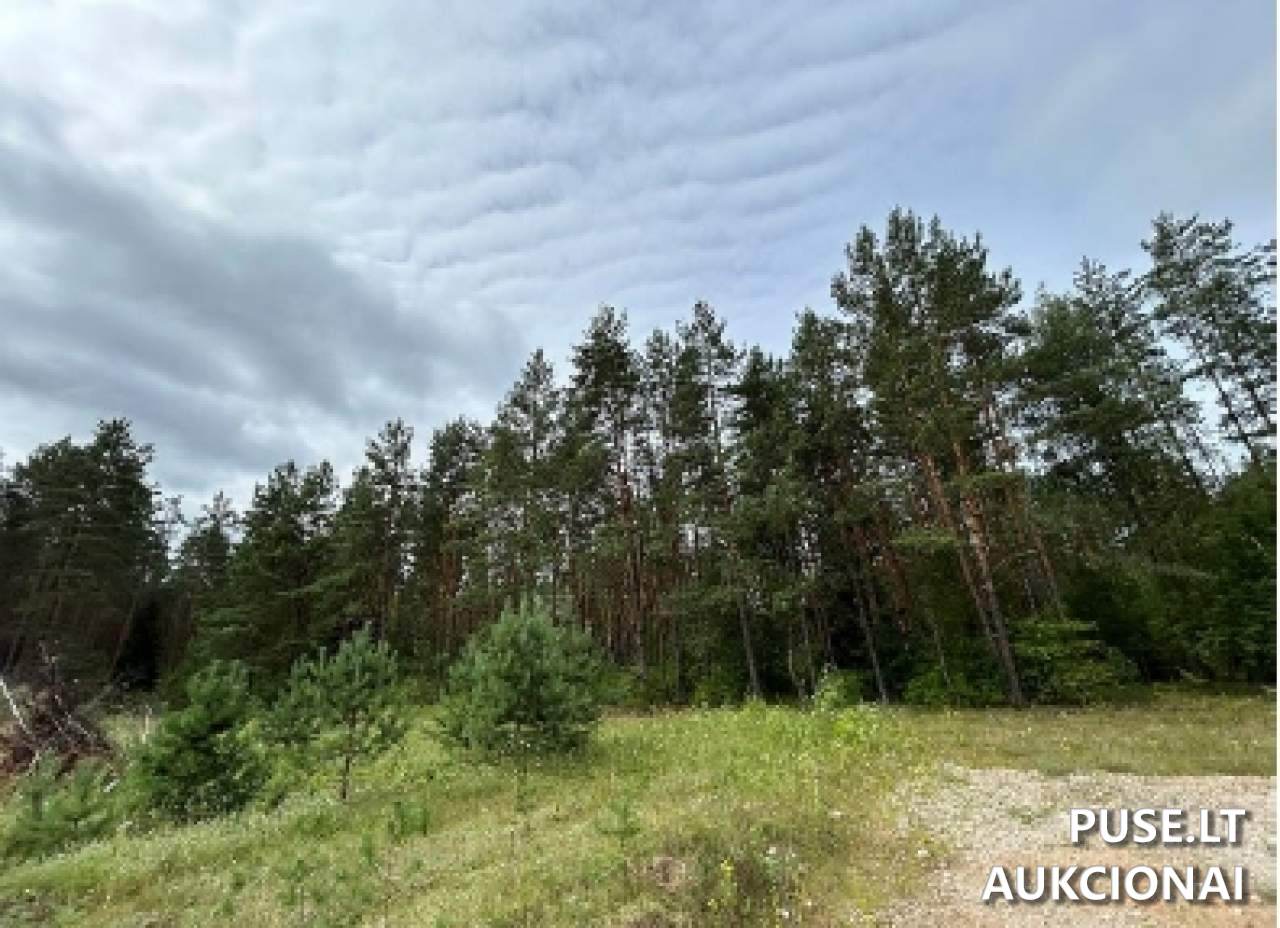 Žemės sklypas Sklypai Sakiškės, Vilniaus r. sav., Lithuania 2