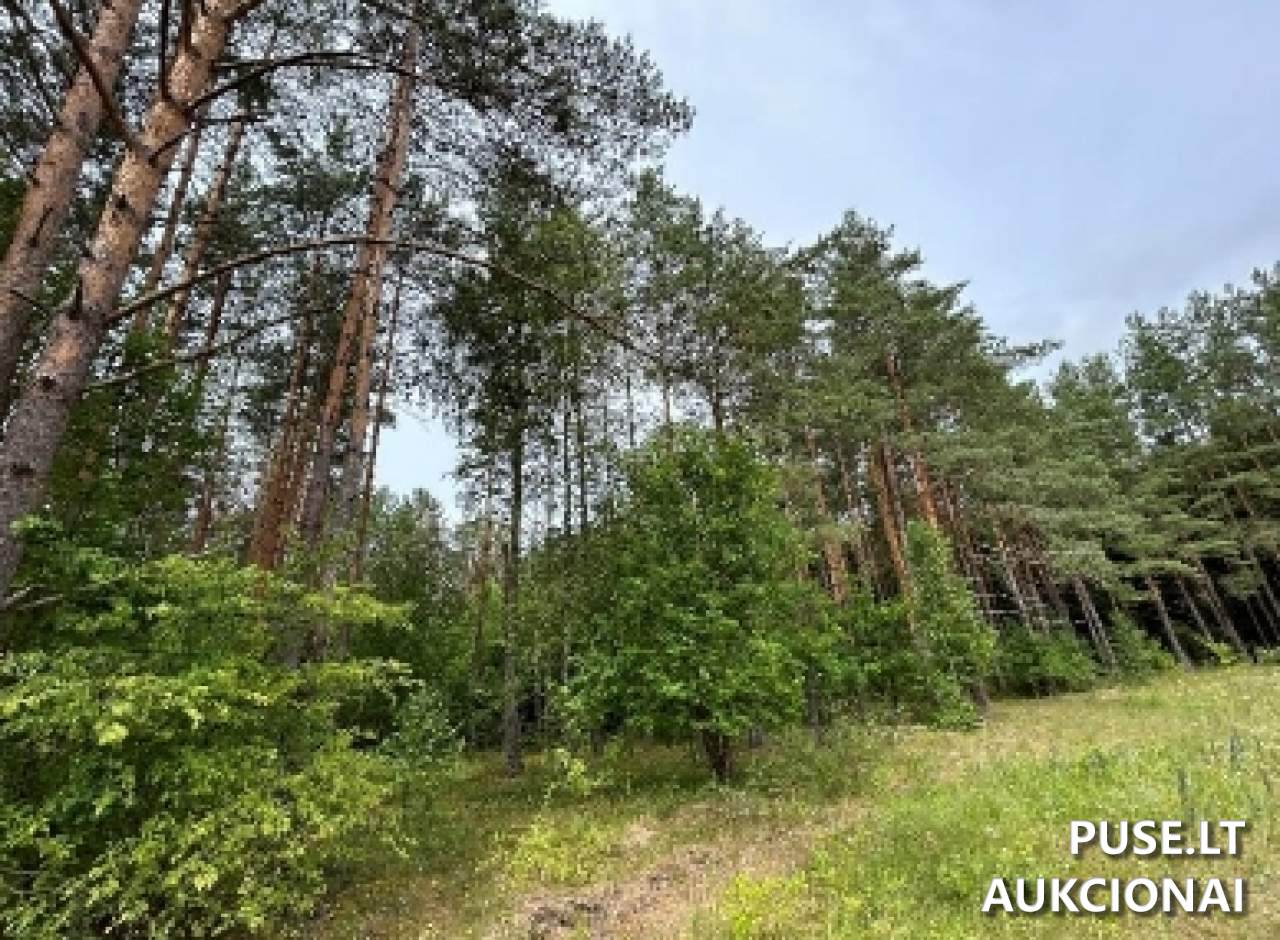 Žemės sklypas Sklypai Sakiškės, Vilniaus r. sav., Lithuania 3