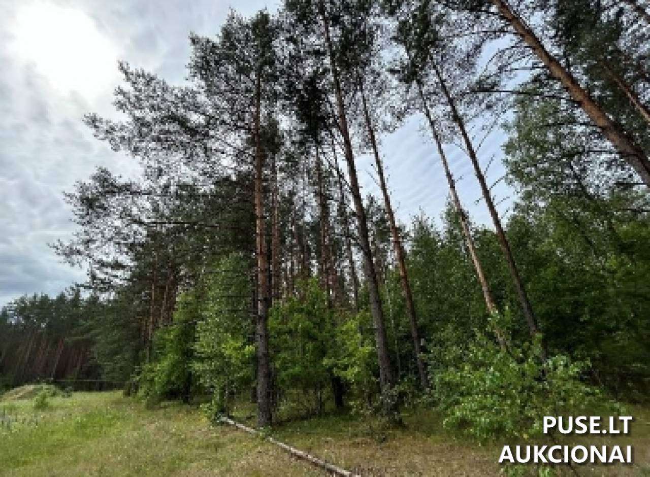 Žemės sklypas Sklypai Sakiškės, Vilniaus r. sav., Lithuania 4