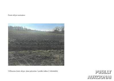 Valstybinės žemės sklypas Šakių rajone, Kudirkos Naumiesčio m., Beržų g. 1, pradinė kaina 3652 EUR