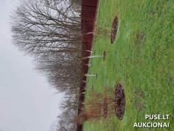 Sklypai - Žemės sklypas