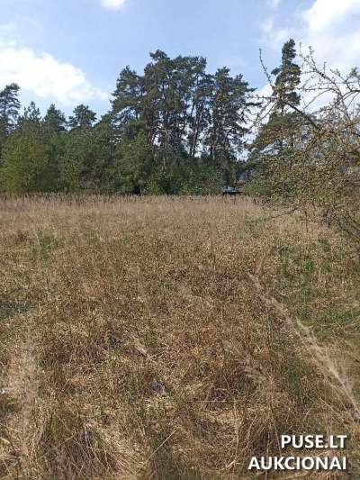 Valstybinės žemės sklypas Ukmergės mieste, Vilniaus g. 109F, pradinė kaina 13824 EUR