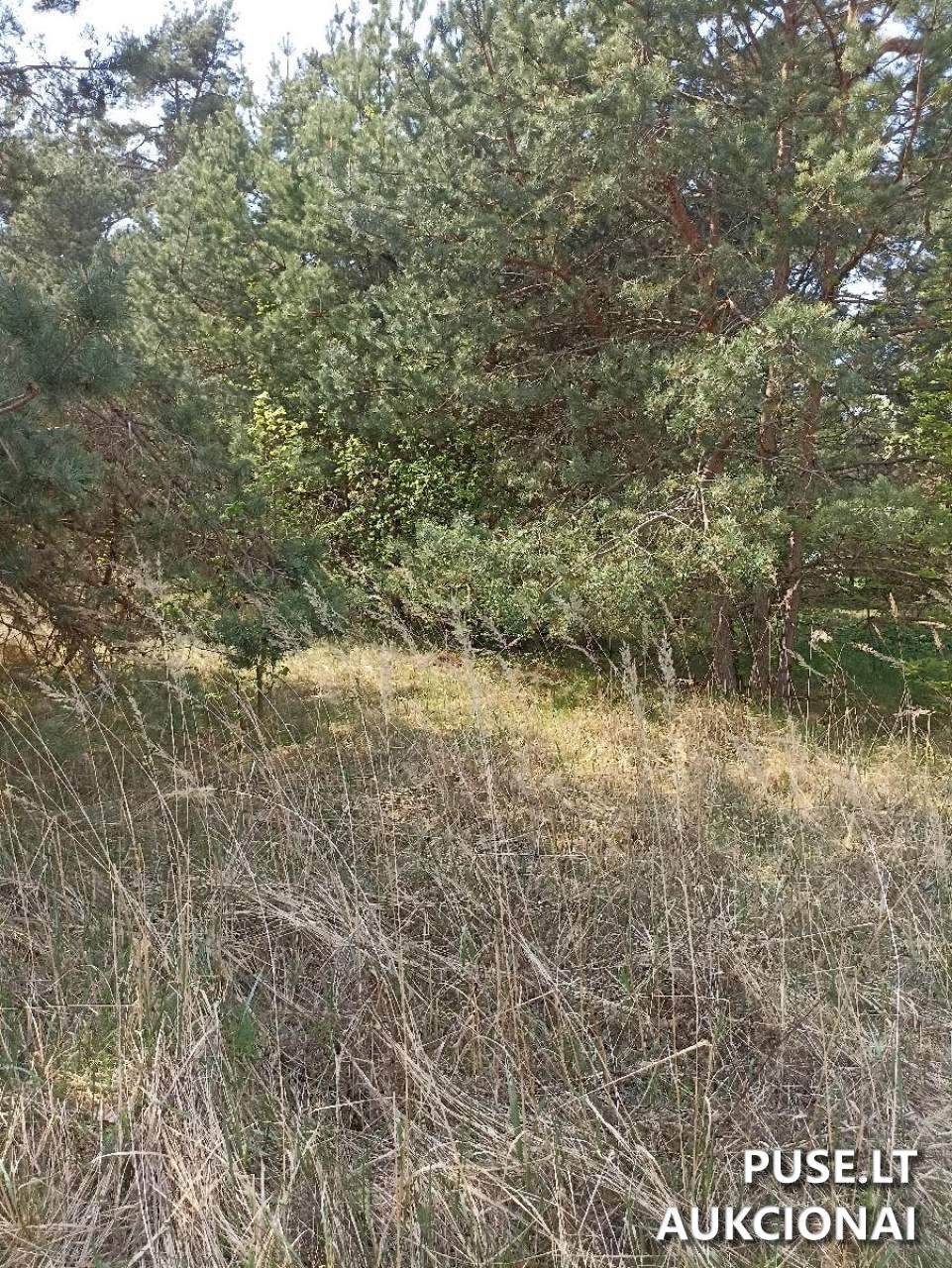 Žemės sklypas Sklypai Vilniaus g. 109H, Ukmergė, 20169 Ukmergės r. sav., Lithuania 1