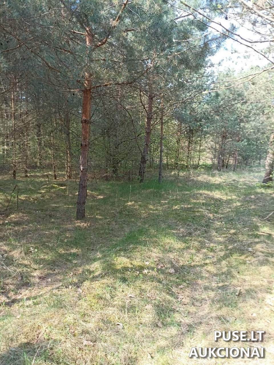 Žemės sklypas Sklypai Vilniaus g. 109I, Ukmergė, 20169 Ukmergės r. sav., Lithuania 1