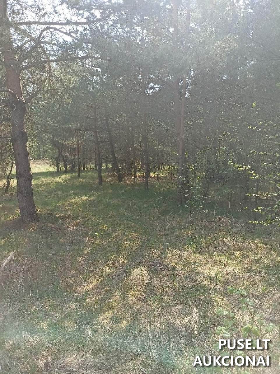 Žemės sklypas Sklypai Vilniaus g. 109I, Ukmergė, 20169 Ukmergės r. sav., Lithuania 2