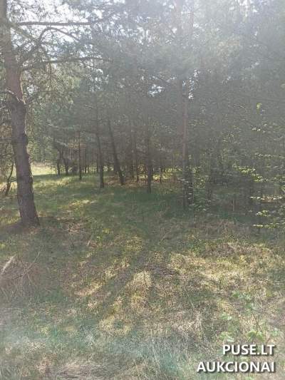 Valstybinis žemės sklypas Ukmergės mieste, Vilniaus g. 109I, pradinė kaina 12724 EUR