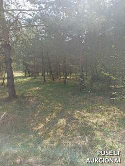 Sklypai - Žemės sklypas