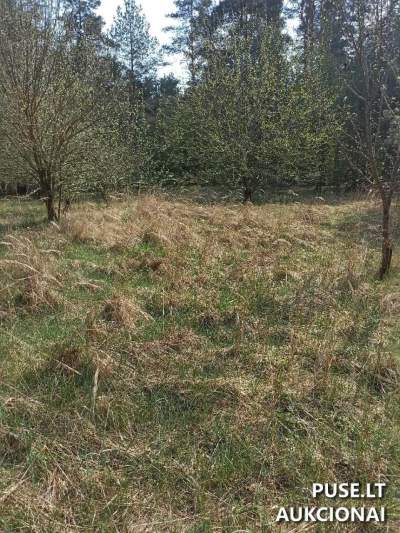 Valstybinis žemės sklypas Ukmergėje, Vilniaus g. 109J, pradinė kaina 12724 EUR