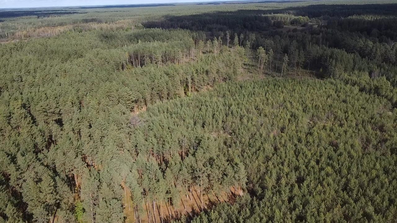 Žemės sklypas Sklypai Šalčininkai District Municipality, Lithuania 3