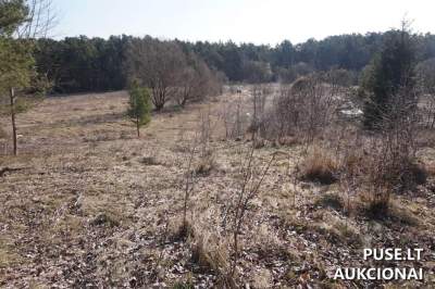 Valstybinės žemės sklypas Alytuje Stirnų g. 9, pradinė kaina 14538 EUR