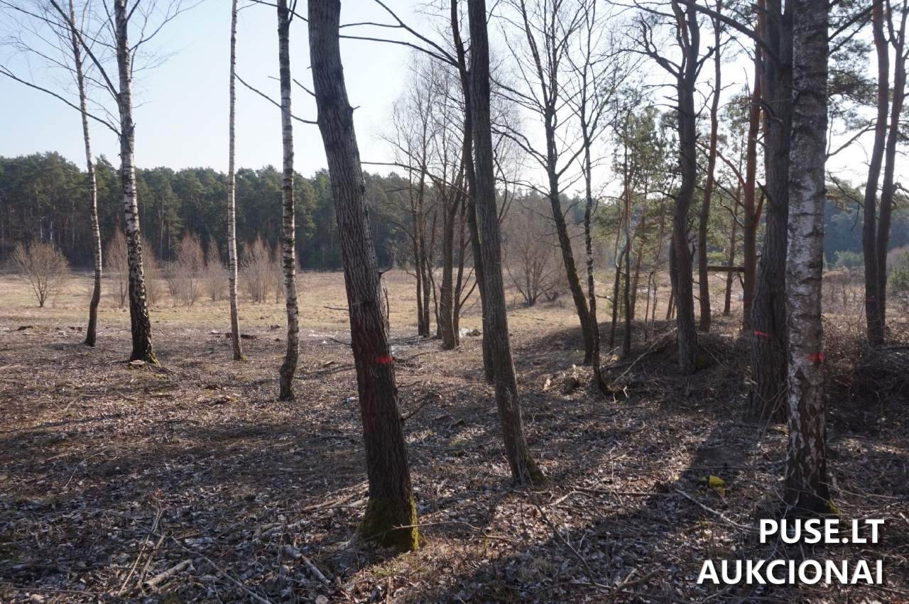 Žemės sklypas Sklypai Stirnų g. 11, Alytus, 62375 Alytaus m. sav., Lithuania 2