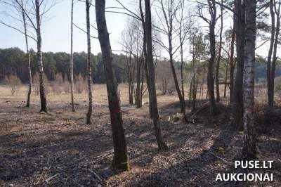 Valstybinis žemės sklypas Alytuje, Stirnų g. 11, pradinė kaina 14538 EUR, aukcionas liepos mėnesį