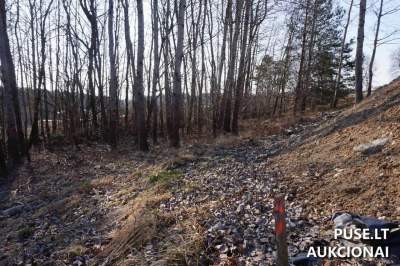 Valstybinės žemės sklypas Alytuje, Stirnų g. 13 su pradine 14538 EUR kaina