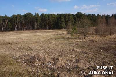 Valstybinės žemės sklypo pardavimas Alytuje, Kėkštų g. 9, pradinė kaina 14236 EUR