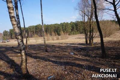 Valstybinis žemės sklypas Alytuje Kėkštų g. 10, pradinė kaina 17053 EUR