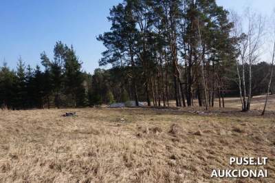 Valstybinės žemės sklypas Alytuje, Bruknių g. 9, pradinė kaina 19663 EUR