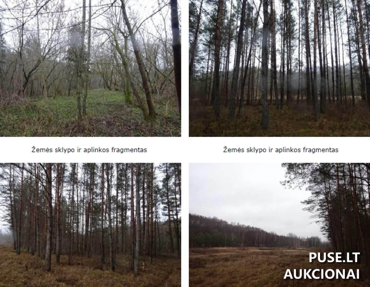 Žemės sklypas Sklypai Baltalaukis, 15143 Vilniaus r. sav., Lithuania 8