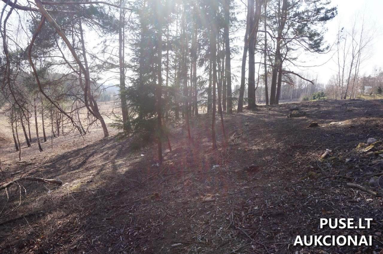 Žemės sklypas Sklypai Bruknių g. 7, Alytus, 62375 Alytaus m. sav., Lithuania 1