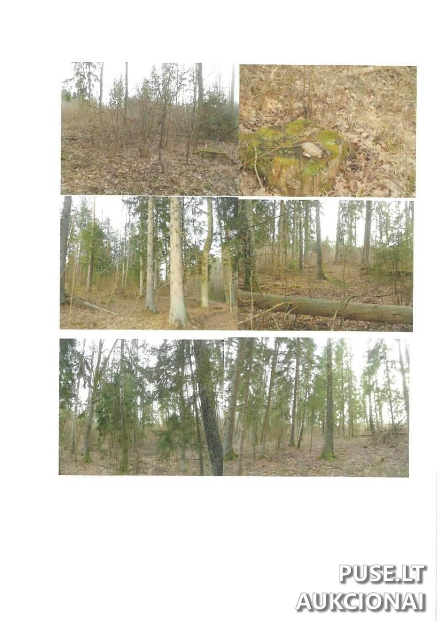 Žemės sklypas Sklypai Lazdijai District Municipality, Lithuania 1