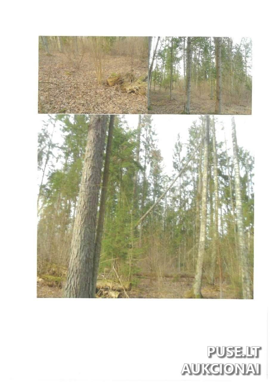 Žemės sklypas Sklypai Lazdijai District Municipality, Lithuania 4