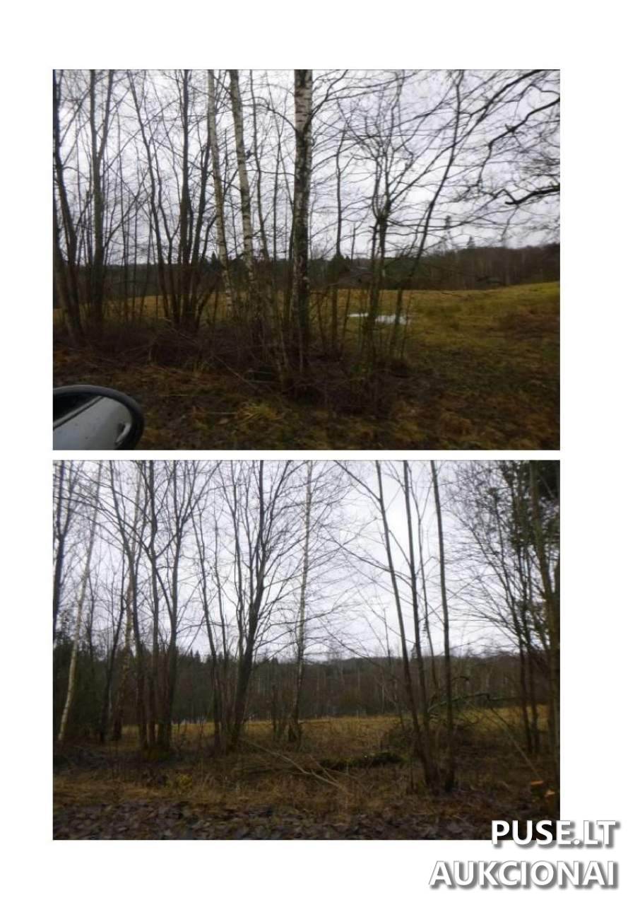 Žemės sklypas Sklypai GW72+XV, 28304 Lukošiūnai, Lithuania 1