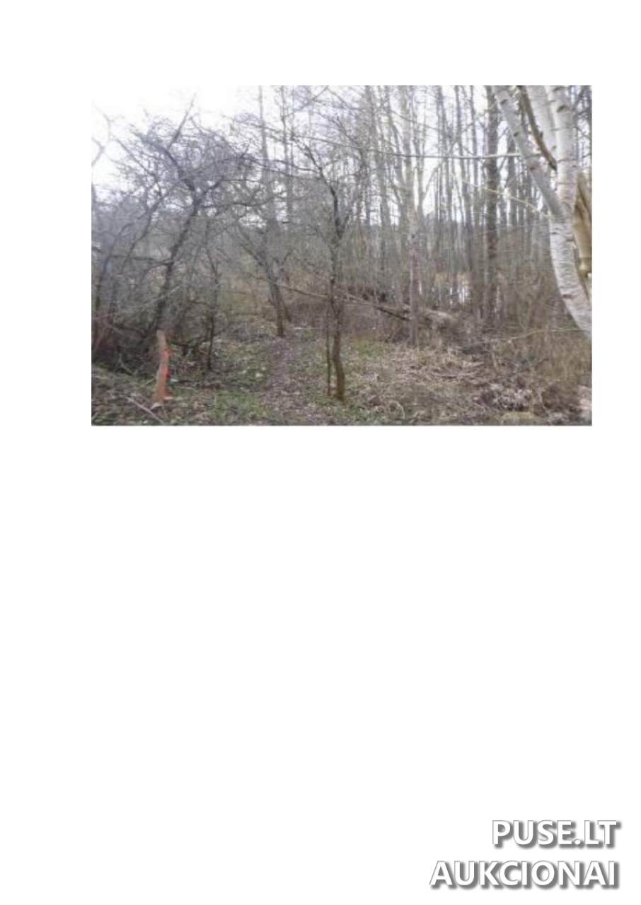 Žemės sklypas Sklypai Pamiškės g. 11, Kalviškės, 31154 Visagino sav., Lithuania 1